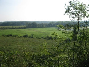 View of pasture from hill